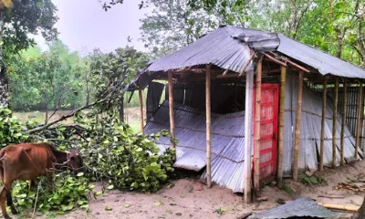 ঝড়ের তাণ্ডবে ভেঙ্গে গেছে শতাধিক ঘরবাড়ি, উড়ে গেছে ঘরের টিন
