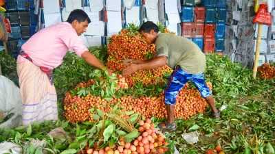 ছবি: ইত্তেফাক