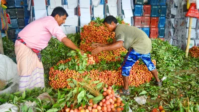 ছবি: ইত্তেফাক