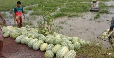রাস্তায় তরমুজ স্তূপ করে রাখা হয়েছে।  ছবি: ইত্তেফাক