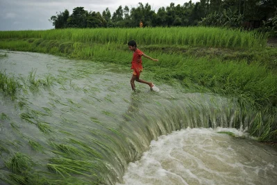 ছবি: ইউনিসেফ