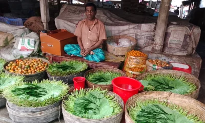 দিনাজপুরের ফুলবাড়ী পৌর বাজারের পান দোকানি সুব্রত চন্দ্র মণ্ডল তার দোকানে পানের পসরা সাজিয়ে বসে আছেন 