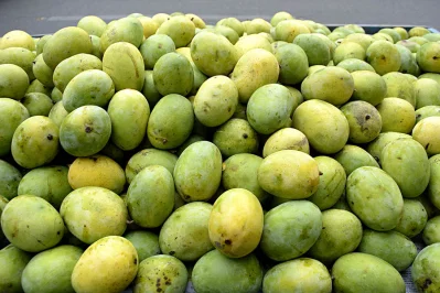 অধিকাংশ ক্রেতাই আম চিনতে ভুল করেন। আম কেনার পর অনেকেই বুঝতে পারেন না তিনি কোন আমটি কিনছেন