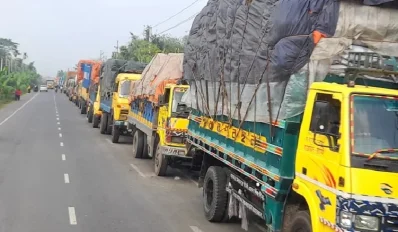 ঘাট বন্ধ হয়ে যাওয়ায় দৌলতদিয়া-পাটুরিয়া নৌরুটের দৌলতদিয়া প্রান্তে যানবাহনের দীর্ঘ সারি দেখা দিয়েছে। ছবি: সংগৃহীত