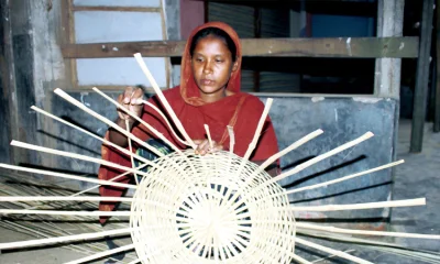 ঝুড়ি তৈরিতে ব্যস্ত মাহালীরা