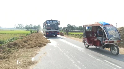 পাকা সড়কগুলো যেন ধানের চাতালে পরিণত হয়েছে