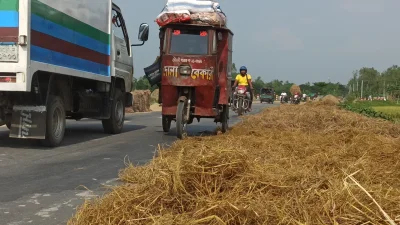 পাকা সড়কগুলো যেন ধানের চাতালে পরিণত হয়েছে