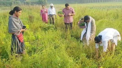 Krishi-1