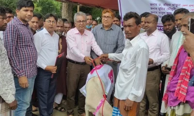 শিবচর উপজেলার হতদরিদ্র ও সুবিধাবঞ্চিত জেলেদের মাঝে ভ্যান ও গবাদিপশু বিতরণ করা হচ্ছে। ছবি- ইত্তেফাক