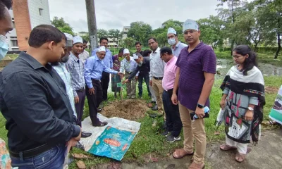 বৃক্ষরোপণ করেন উপাচার্য ড. মো. মতিয়ার রহমান হাওলাদার