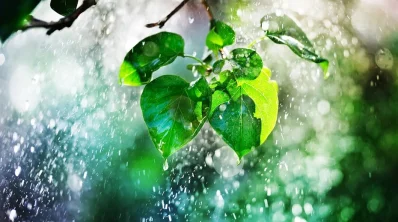 কবি জীবনানন্দ দাশ আষাঢ়কে বলেছেন, &lsquo;ধ্যানমগ্ন বাউল-সুখের বাঁশি&rsquo;