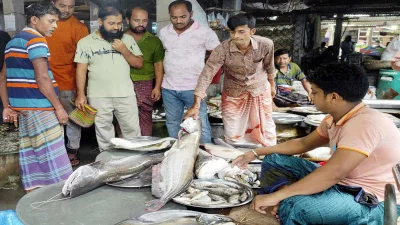 বোয়াল কিনতে ক্রেতাদের ভিড়