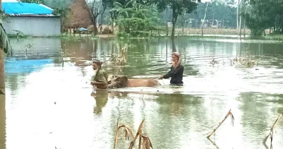 গৃহপালিত পশু নিয়ে নিরাপদ আশ্রয়ে যাচ্ছে মানুষ: ইত্তেফাক