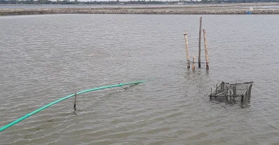চিংড়িঘেরে পাইপ বসিয়ে গ্যাস তোলা হচ্ছে। 