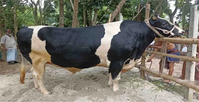  ভিক্টরকে দেখতে মানুষের ভিড়।
