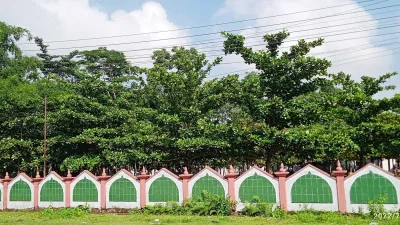 মসজিদ প্রাঙ্গণে কাঠবাদাম গাছ