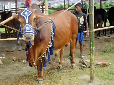 ছবি&mdash;সামসুল হায়দার বাদশা