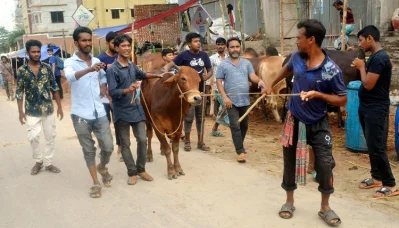ছবি&mdash;সামসুল হায়দার বাদশা