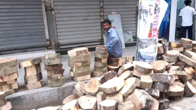 গাছের গুড়ি বিক্রি করছেন তৈয়ব খান।