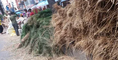 রাজধানীর বিভিন্ন মোড়ে খড়, ভুসি ও ঘাসের দোকান। 