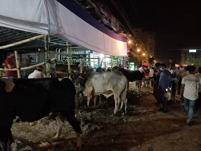 আফতাবনগর পশুর হাট। ছবি: ইত্তেফাক