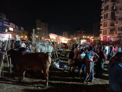 আফতাবনগর পশুর হাট। ছবি: ইত্তেফাক