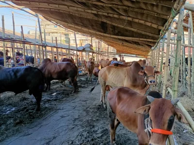 ছবি: ইত্তেফাক