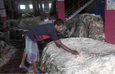 লবন দিয়ে চামড়া সংরক্ষণ করা হচ্ছে।
