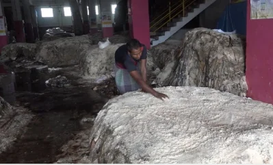 লবন দিয়ে চামড়া সংরক্ষণ করা হচ্ছে।