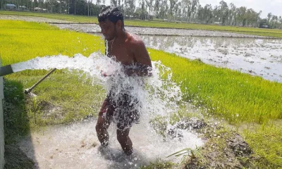 প্রচণ্ড তাপদাহ থেকে একটু স্বস্তি পেতে অনেকে ঘন ঘন ঠাণ্ডা পানিতে গোসল করছেন