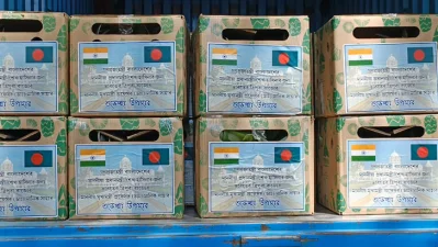 কার্টনে ভরা আনারস। ছবি: সংগৃহীত
