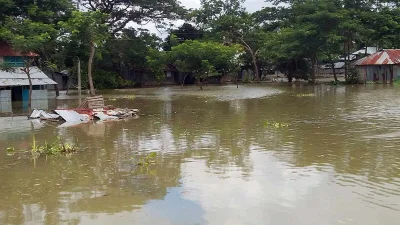 বাঁধ ভেঙে এলাকা প্লাবিত