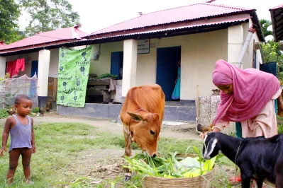 ছবি: সামসুল হায়দার বাদশা