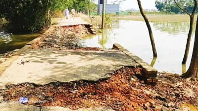 বড় বড় গর্তের কারণে চলতে পারছে না স্থানীয় গাড়ি 