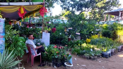 কক্সবাজারে জমে উঠেছে বৃক্ষমেলা।