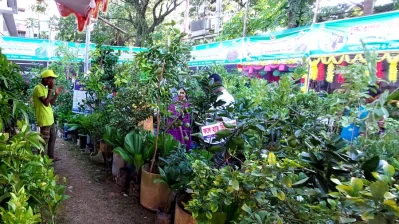 কক্সবাজারে জমে উঠেছে বৃক্ষমেলা।