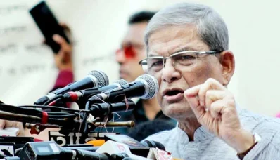 মির্জা ফখরুল