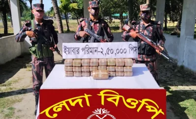 প্রায়ই বিজিবি জব্দ করছে বিপুল পরিমাণ মাদক। 
