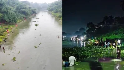 মরা মাছ সংগ্রহ করছেন এলাকাবাসী