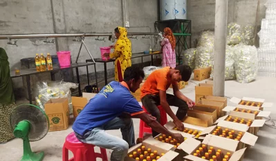 ময়লাযুক্ত তেল বোতলে ভরে প্যাকেজিং চলছে