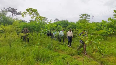 কক্সবাজারে এখনো ৩৭ শতাংশ বন বিদ্যমান