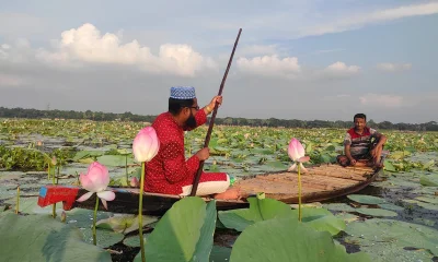 পদ্ম বিলের সৌন্দর্য উপভোগ করতে দূর দূরান্ত থেকে নারী-পুরুষ, শিশু-কিশোর এমনকি বয়োবৃদ্ধরাও ছুটে আসছেন