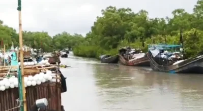 নিরাপদ আশ্রয়ে ফিশিংবোট