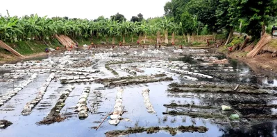 পর্যাপ্ত পানি না থাকায় অল্প পানিতেই পাট জাগ দিচ্ছেন স্থানীয় কৃষকরা। ছবি- ইত্তেফাক