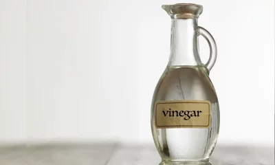 ভিনেগার কানের সংক্রমণ কমাতে সাহায্য করে