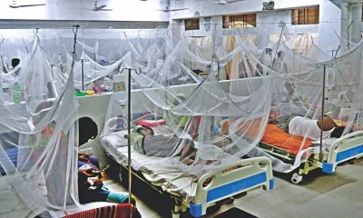 ছবি- সংগৃহীত