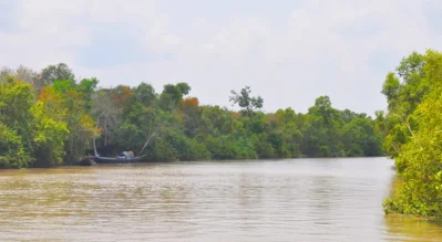 মাছ শিকারে সুন্দরবনে জেলারা