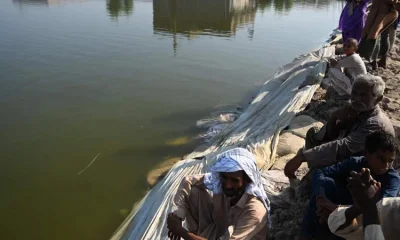 বন্যায় ডুবে গেছে পাকিস্তানের এক তৃতীয়াংশ। ছবি সংগৃহীত। 