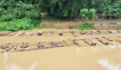 পাচারকালে কাঠের গুঁড়ি জব্দ