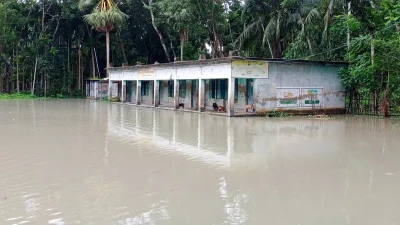কাউখালী